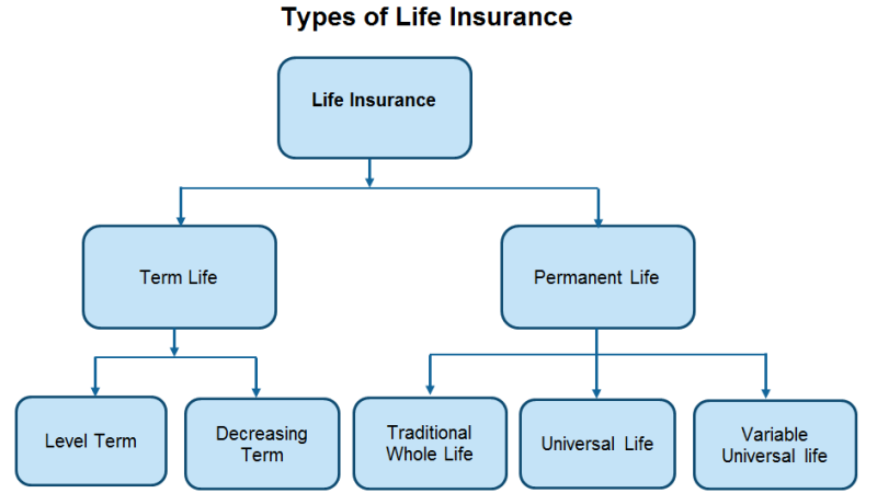 Types Life Insurance