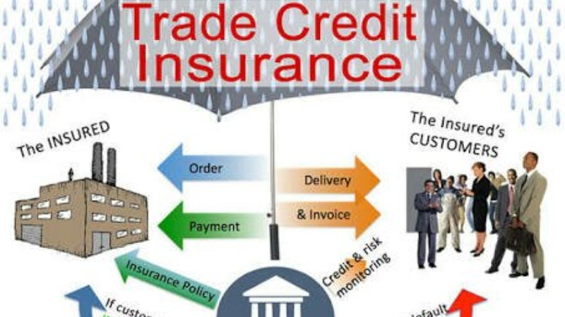 All Things About Credit Insurance